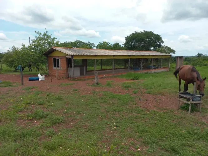 VENDO FAZENDA 73,7 HECTARES PERTO DA GUIA