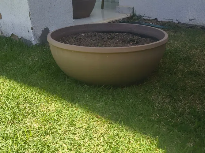 Caqueiro