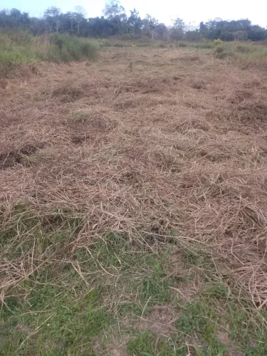 Terreno no bairro vila Acre