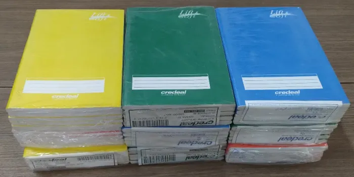 240 Cadernos 1/4 -96 folhas | 300 blocos de fichário