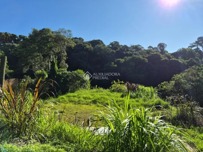 Terreno à venda em Santa Felicidade