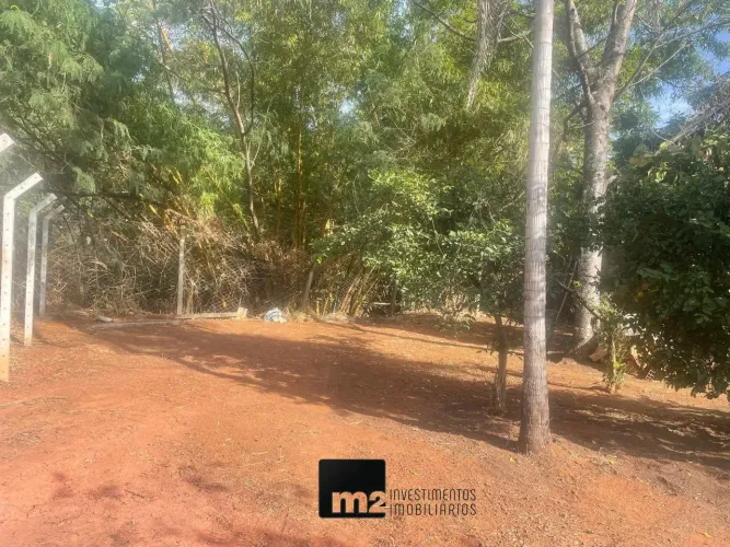 Lote no Jardim América