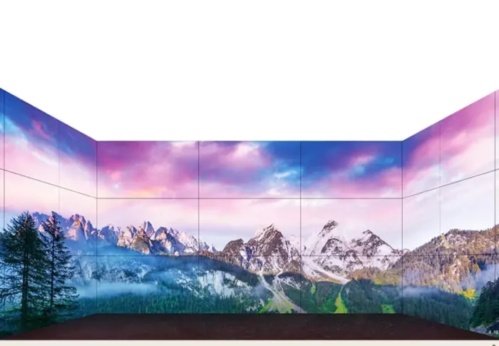 Monitor profissional LG 49?