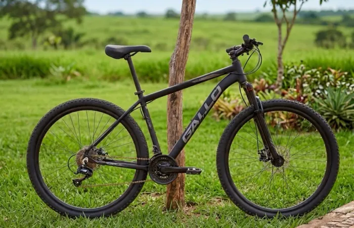 BIKE ARO 29 GALLO PRO ALUMÍNIO