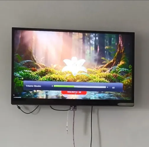 Tv AOC 29 polegadas 