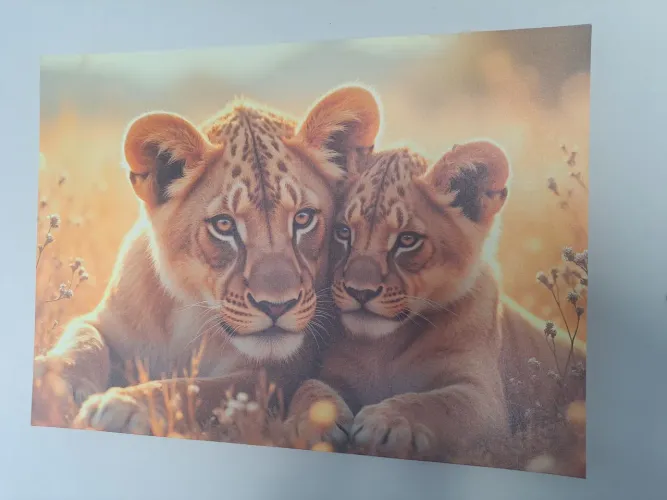 Quadro