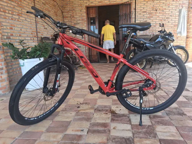 BIKE ARO 29