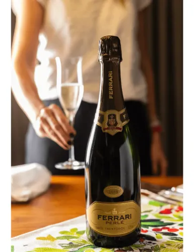 Espumantes e Vinhos - Importados