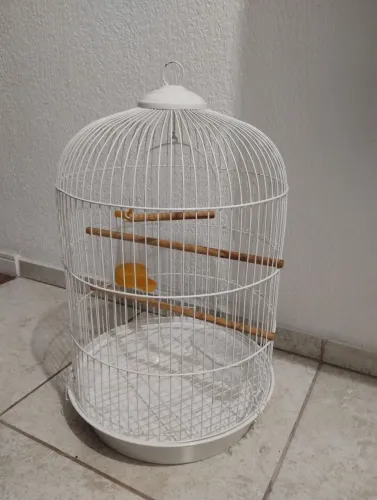 Vendo gaiola para piriquito