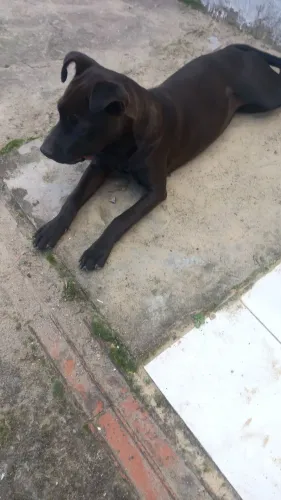Doações