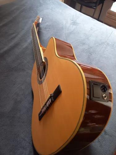 Violão Hofma 7 cordas + capa de couro AVS