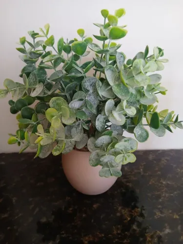 Vasinho Decorativo