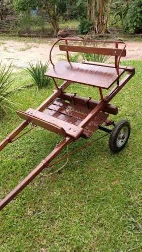 Charrete de Mini pônei 