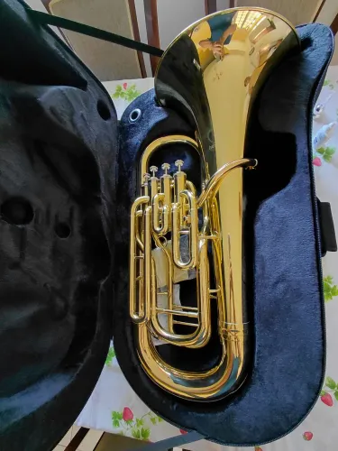 Eufonio Harmonics Novo Vendo Troco