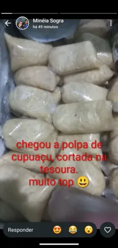 Polpa de cupuaçu nova