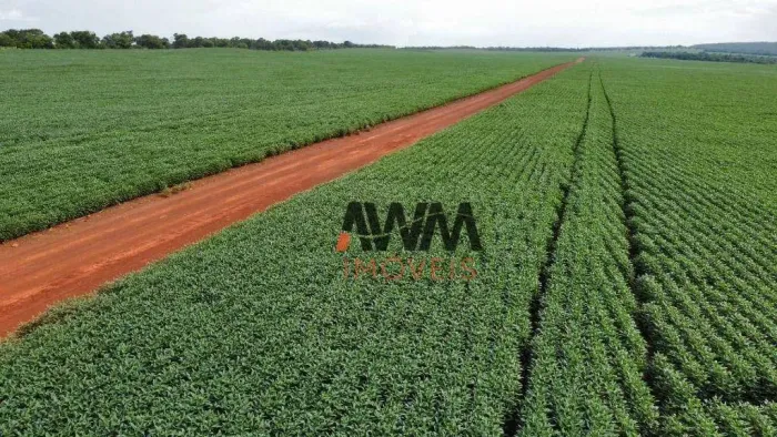 Fazenda à venda, 7066400 m² por R$ 24.000.000,00 - Centro - Paraíso do Tocantins/TO
