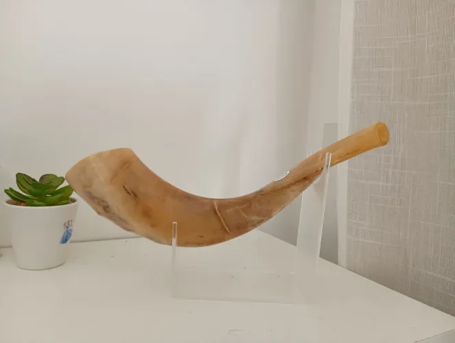 Shofar - Chifre de Carneiro