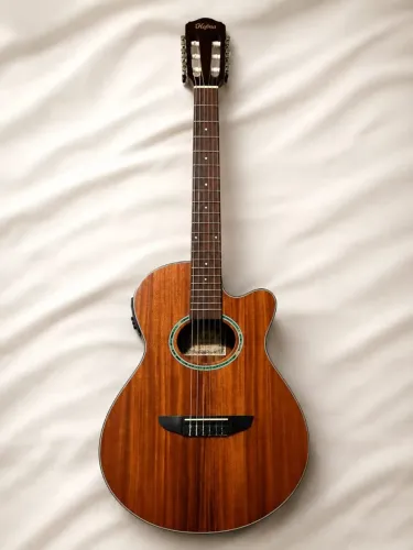 VIOLÃO HOFFMAN HMN 288 STNT NOVO NA CAIXA
