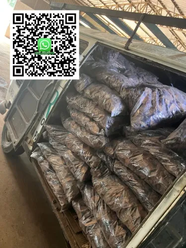 CASCA DE PINOS PARA DECORAÇÃO DE JARDIM