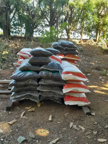 ADUBO DE GADO E GALINHA