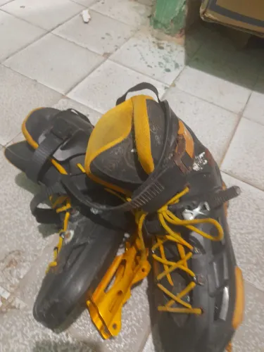 Patins Oxer 42