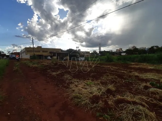 Venda de Terreno / Padrão na cidade de Araraquara