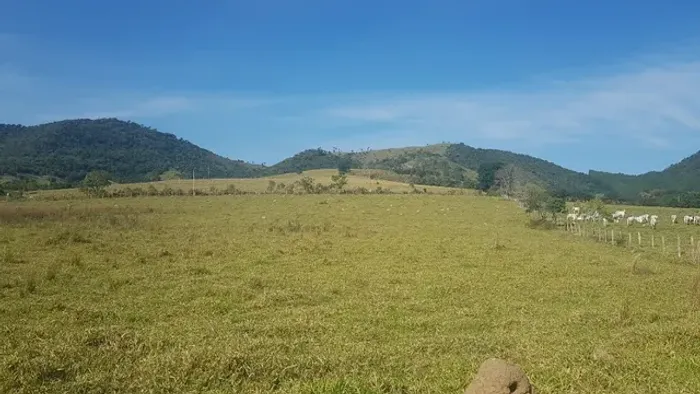 Vendo terreno de 22 mil m2 em Monte sião - Com escritura definitiva - Direto com o propr.