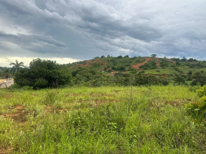 Lote 1.000 m² brauninha