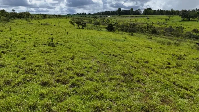 Chácara a venda em Alexânia GO com 42 mil metros de Porteira fechada.