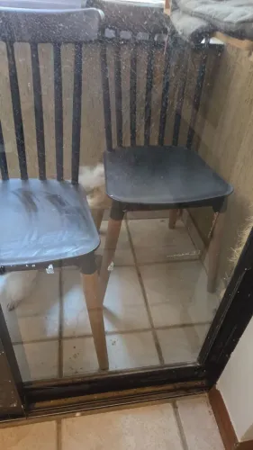 Cadeiras escritório