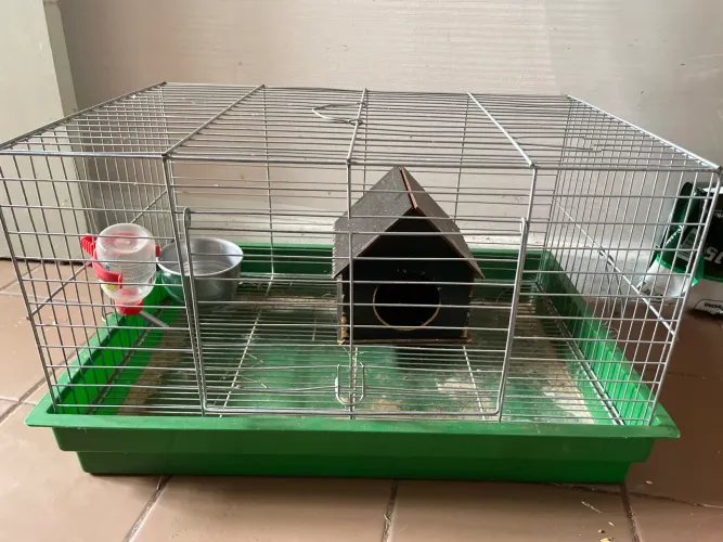 Gaiola para porquinho da índia