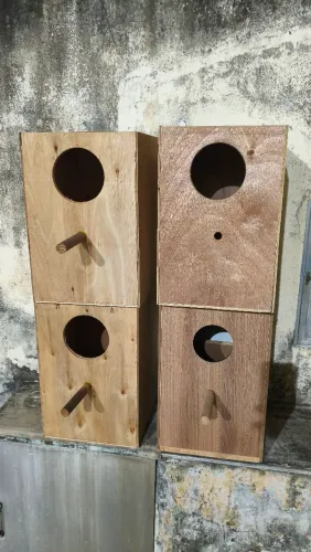Ninhos para Ring Neck