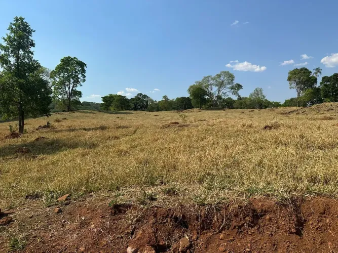 Fazenda a venda em Córrego do Ouro / Goias - 65 Alqueires