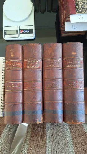 HISTOIRE DE LA LANGUE ET DE LA LITTÉRATURE FRANÇAISE des origines à 1900 L.Petit de Junevi