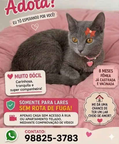 LINDEZAS