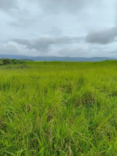 Vendemos uma propriedade toda pronta,com 45 hectares em S. Joaquim do Monte, R$:32 mil p/ 