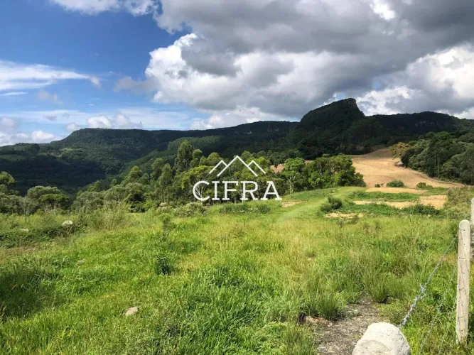 Terreno Rural - Sítio - Venda - 2,7 hectares - 27000m2 - Investimento - Pomerana - Lontras