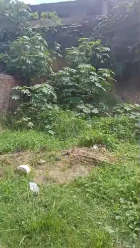 Enseada dos corais