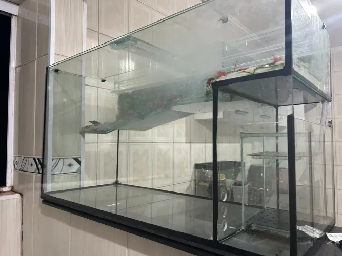 Aquaterrario/Aquario 220 Litros