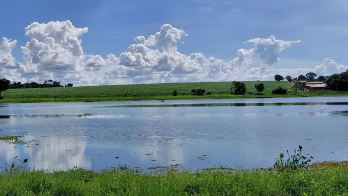 FAZENDA À VENDA APTIDÃO PECUARIA/CANA SUD MENNUCCI/SP