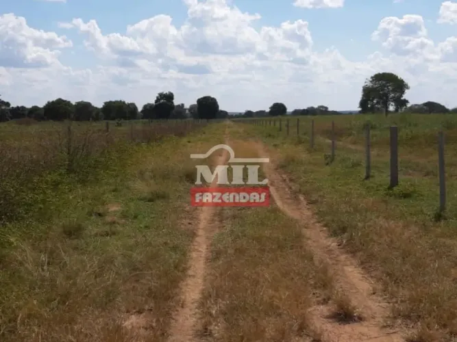Fazenda 176 alqueires ( 851 hectares ) Novo Planalto - GO