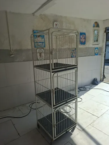 Canil Gaiola de 3 lugares