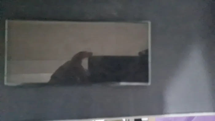 Samsung galaxy s22 ultra