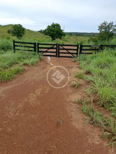 Vende-se excelente fazenda em Conceição do Araguaia na localidade do puçá codigo: 276327