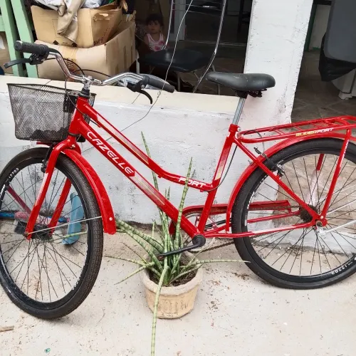Bicicleta nova