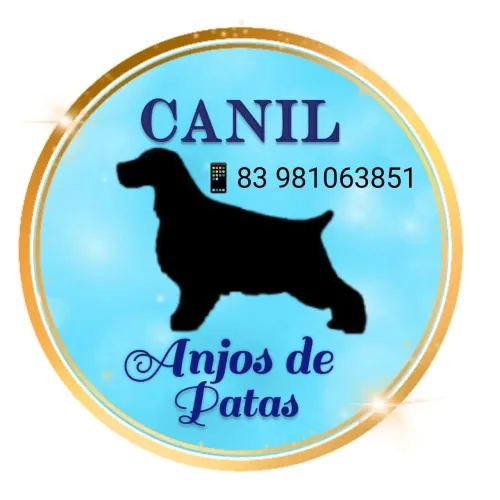 Filhote a pronta entrega!