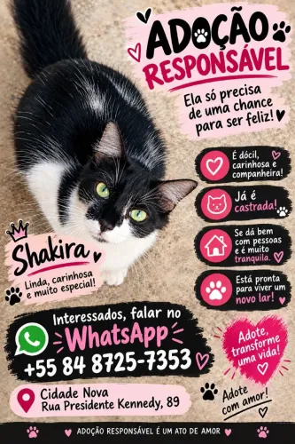 Doação responsável