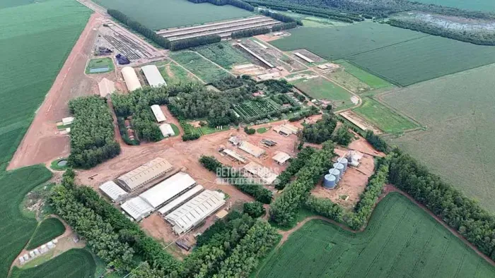 Imóvel para venda possui 201900000 metros quadrados em Área Rural de Campo Verde - Campo V