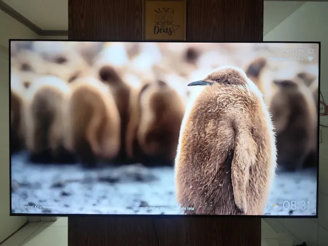VENDO HOJE !!!