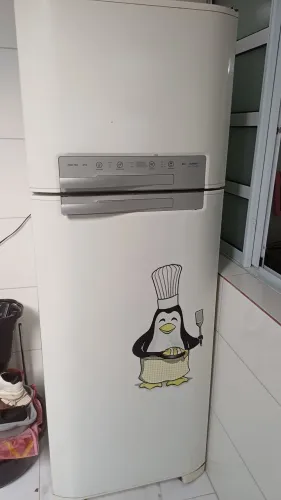 Geladeira Electrolux df50